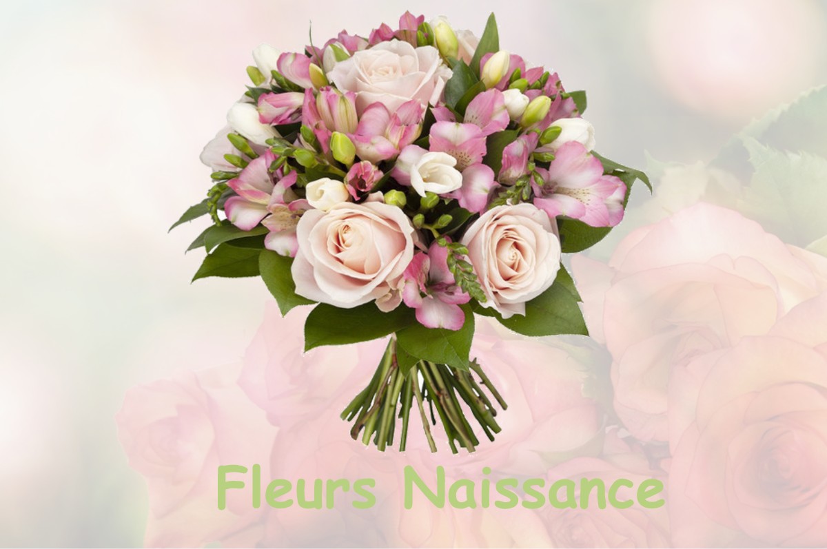 fleurs naissance VIELLE-SOUBIRAN