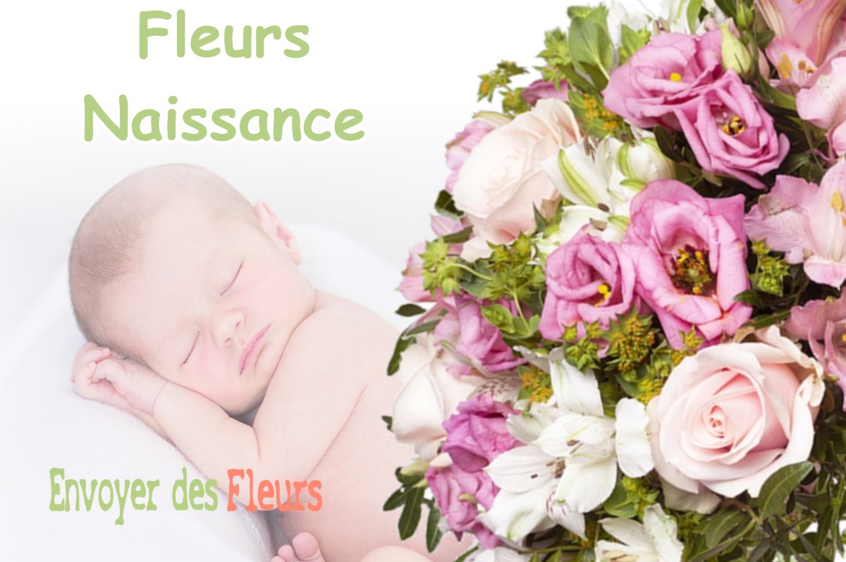 lIVRAISON FLEURS NAISSANCE à VIELLE-SOUBIRAN