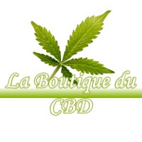 LA BOUTIQUE DU CBD VIELLE-SOUBIRAN 